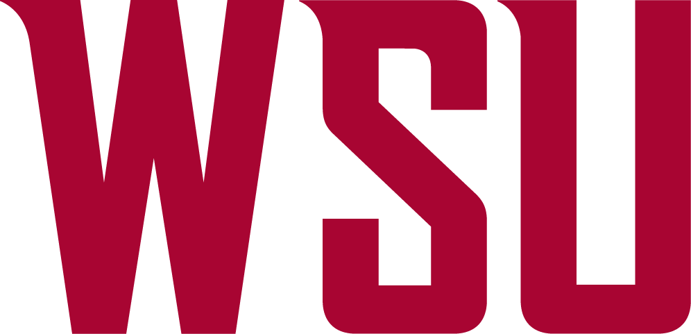 Washington State Cougars 2011-Pres Wordmark Logo v2 diy fabric transfer...